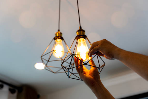 Best Outdoor Lighting Installation  in North Branch, MN
